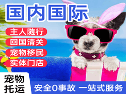 两江航空运输国际宠物托运 【国